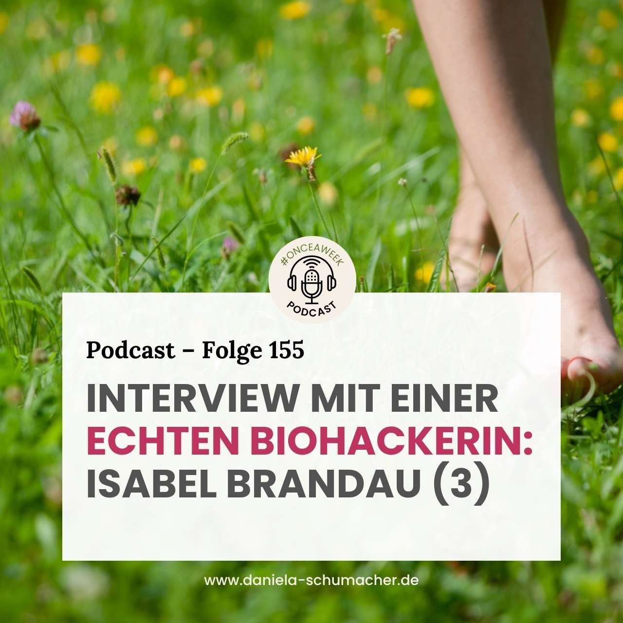 Isabel Brandau