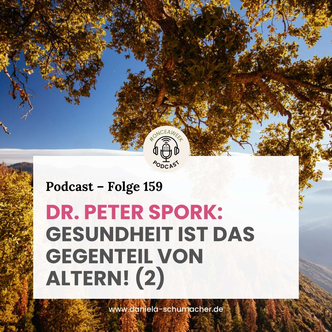 Peter Spork