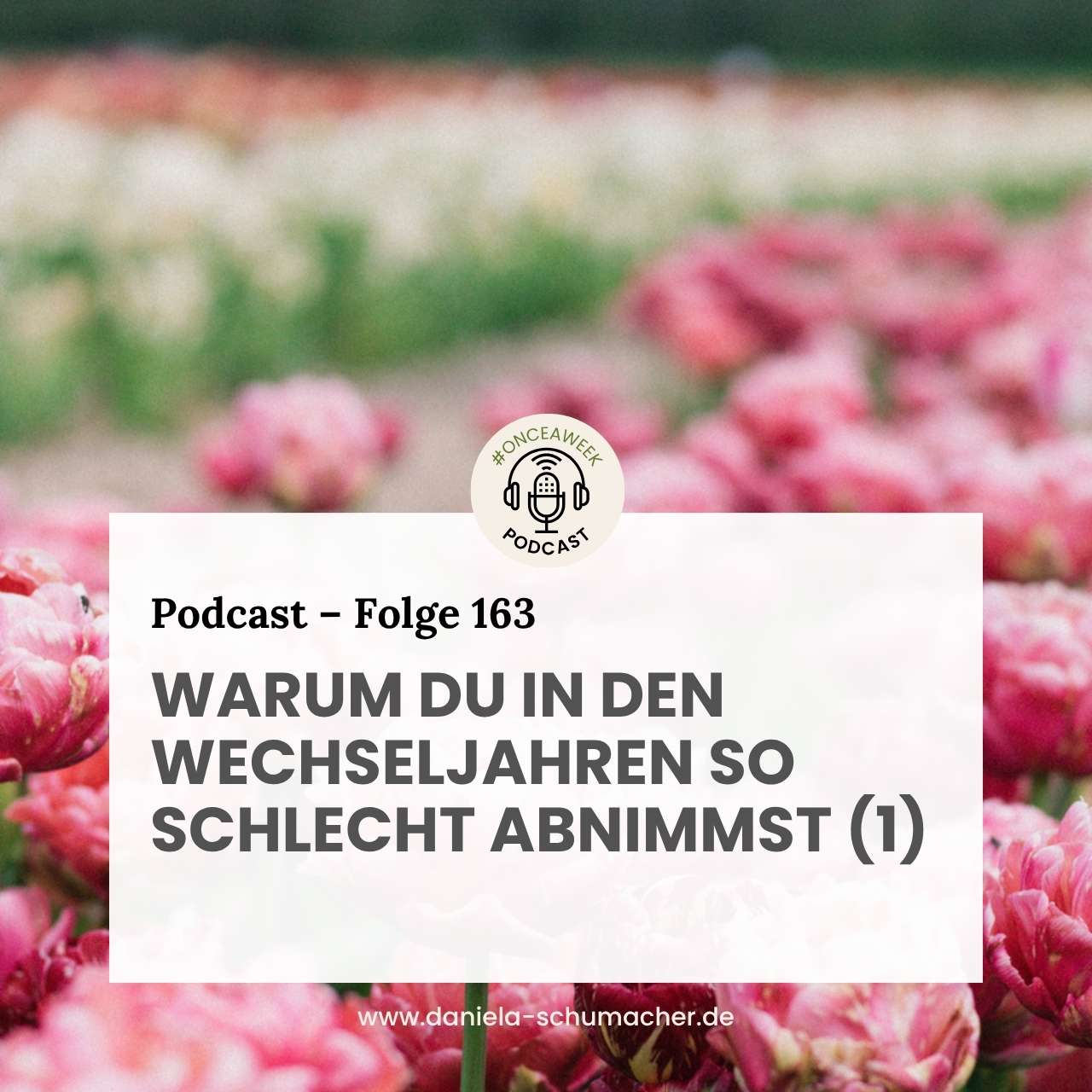 Abnehmen Wechseljahre 1