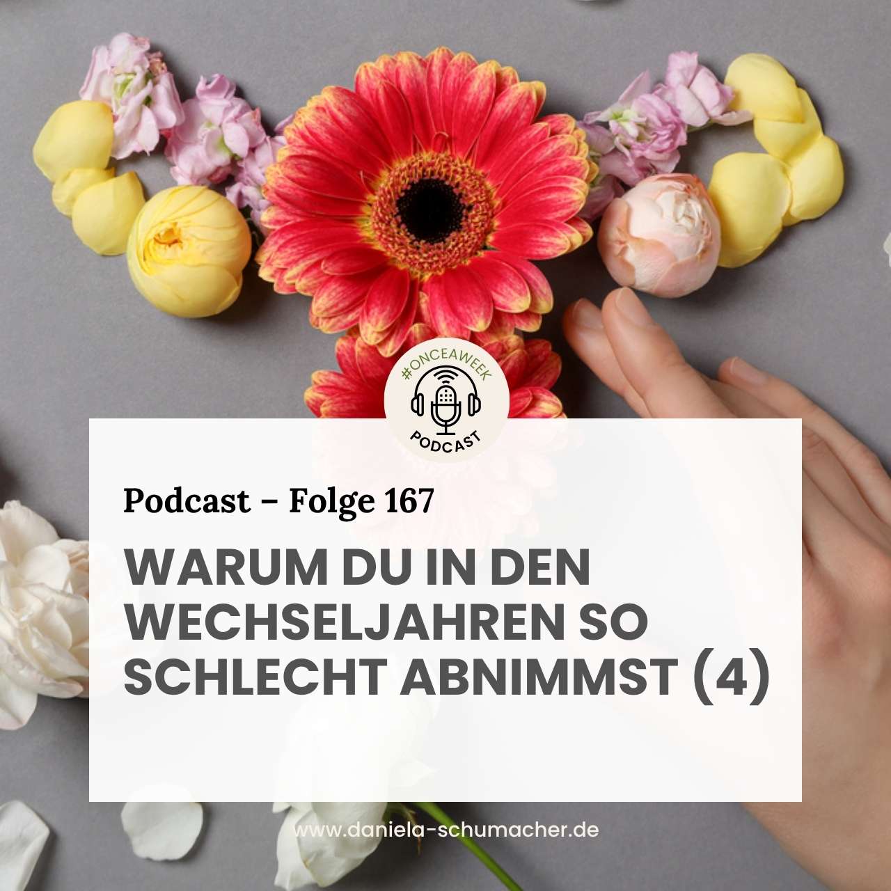 Wechseljahre Abnehmen 4