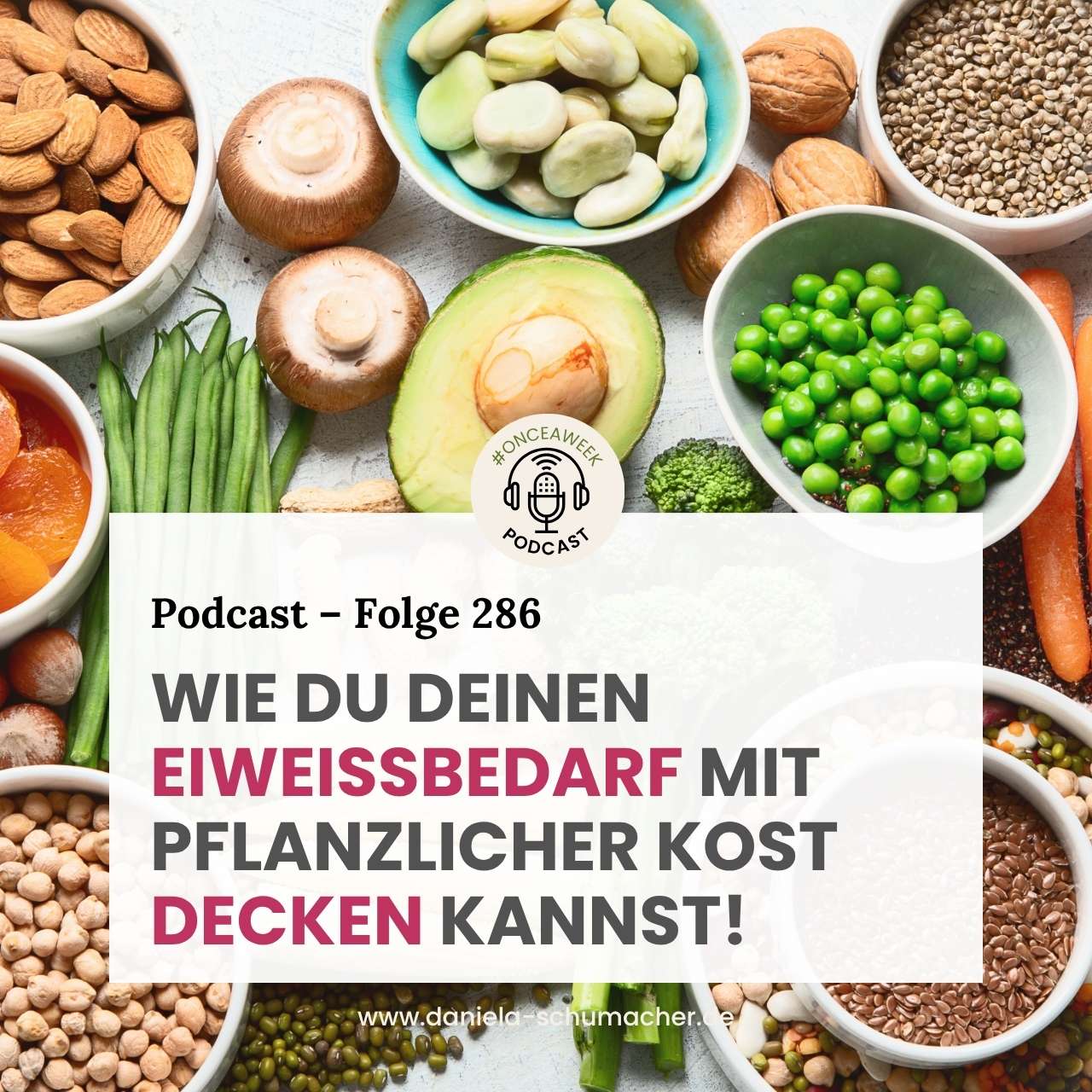 Pflanzliches Eiweiss