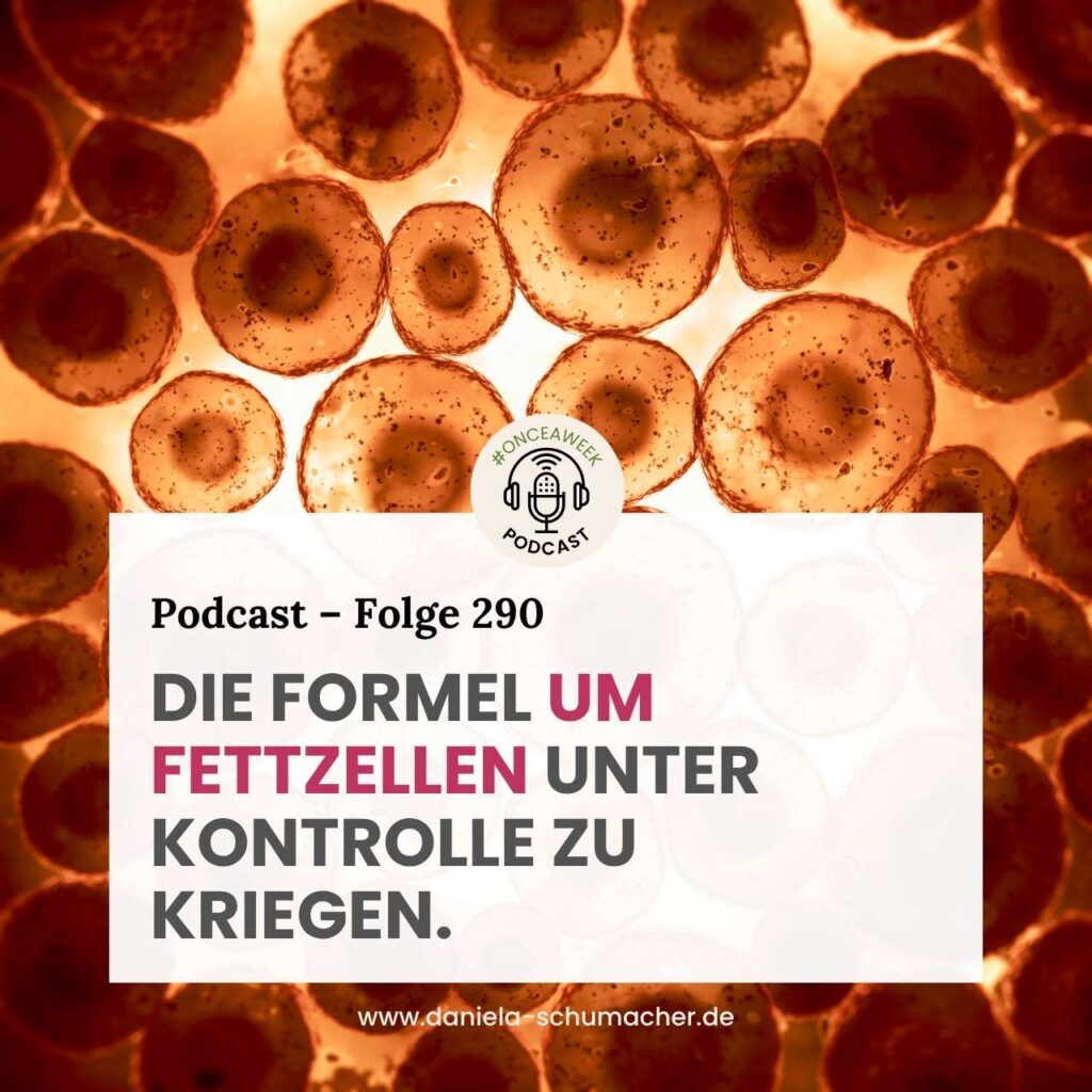 Fettzellen Lipödem