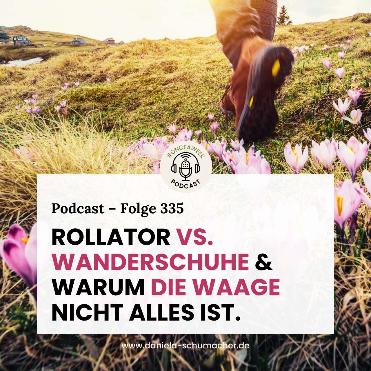 Rollator vs. Wanderschuhe