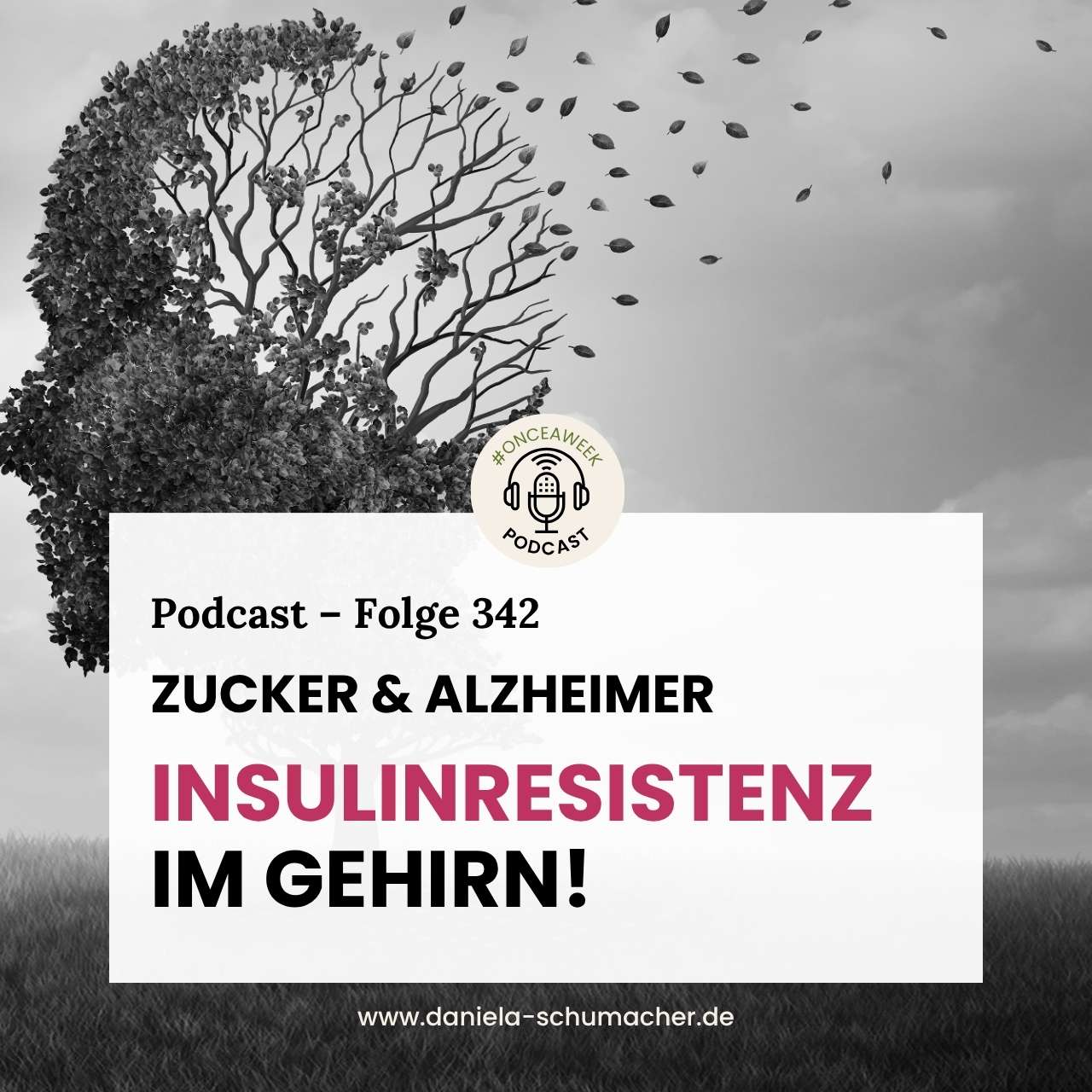 Insulinresistenz-Alzheimer