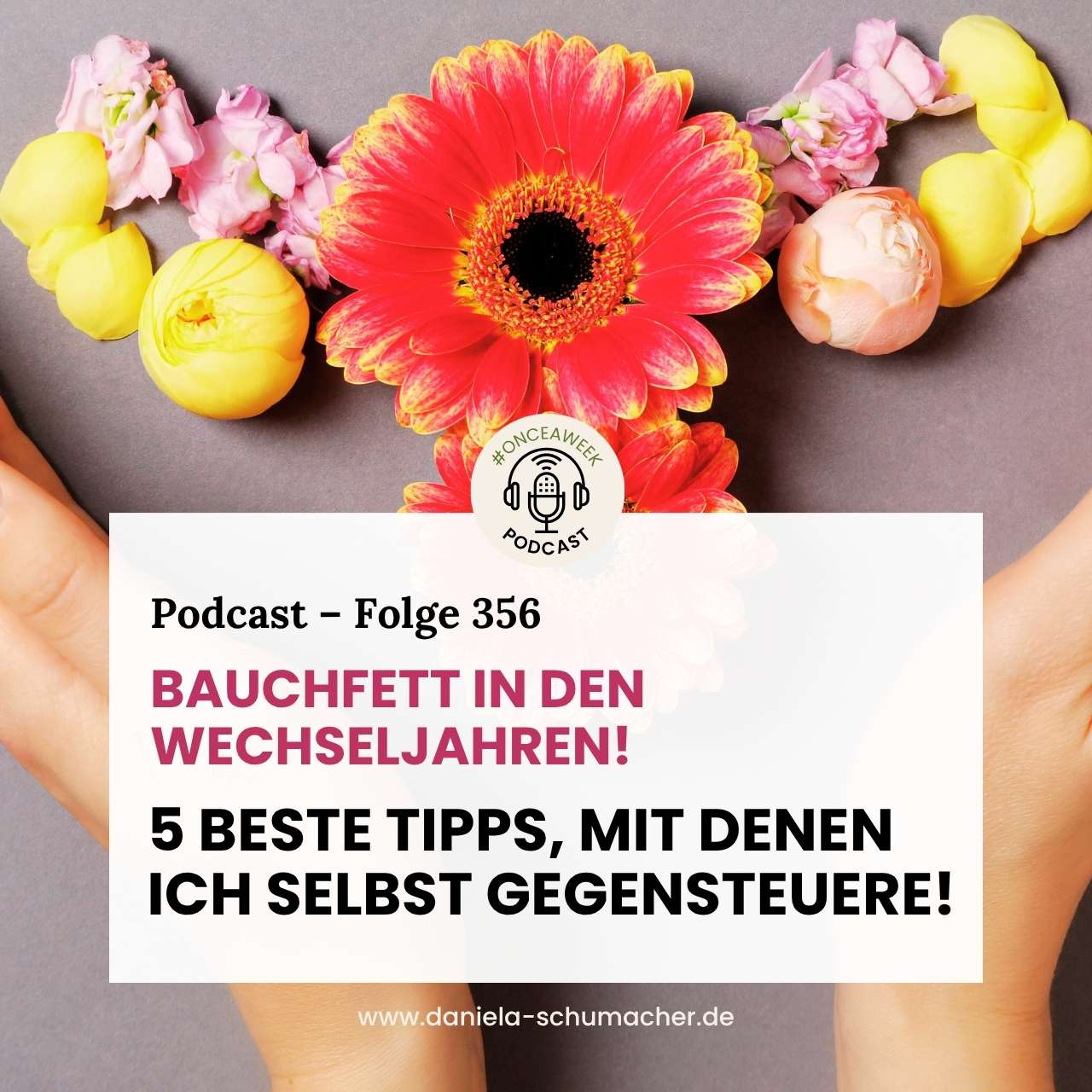 356_Bauchfett-Wechseljahre