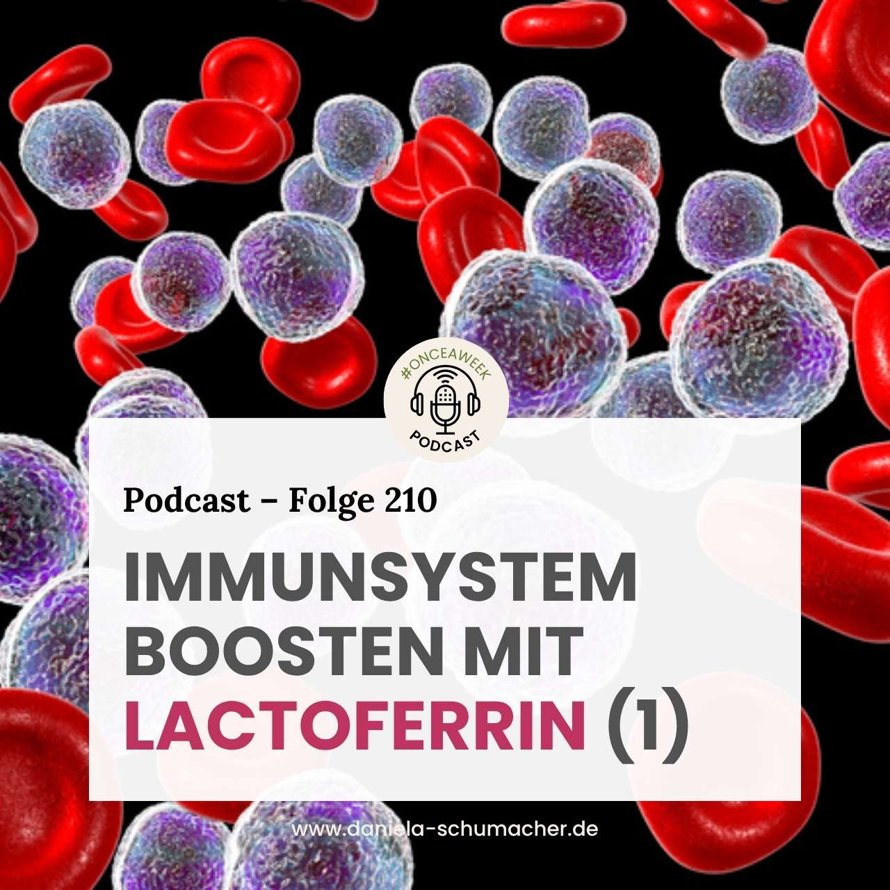 Lactoferrin