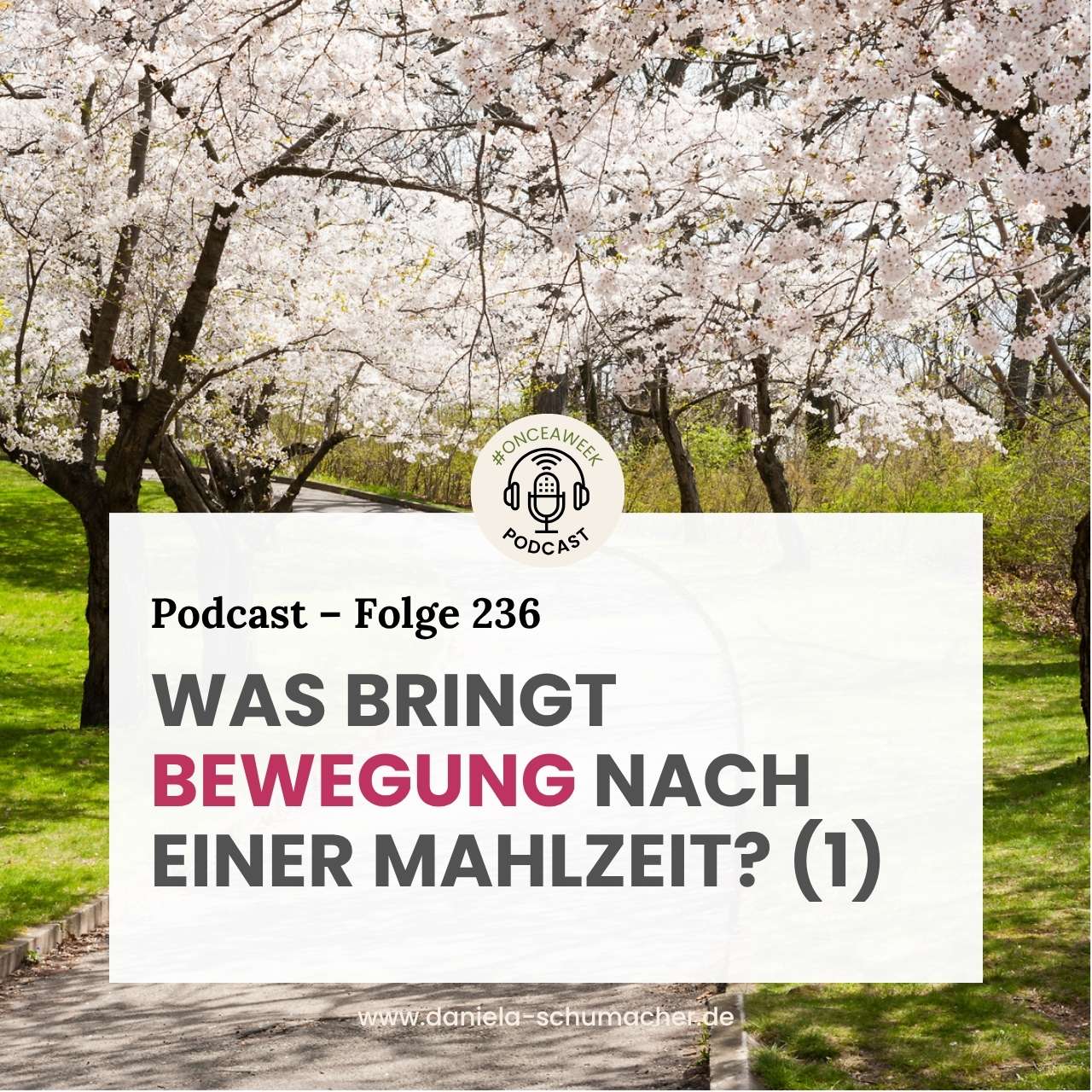 Blutzucker Bewegung