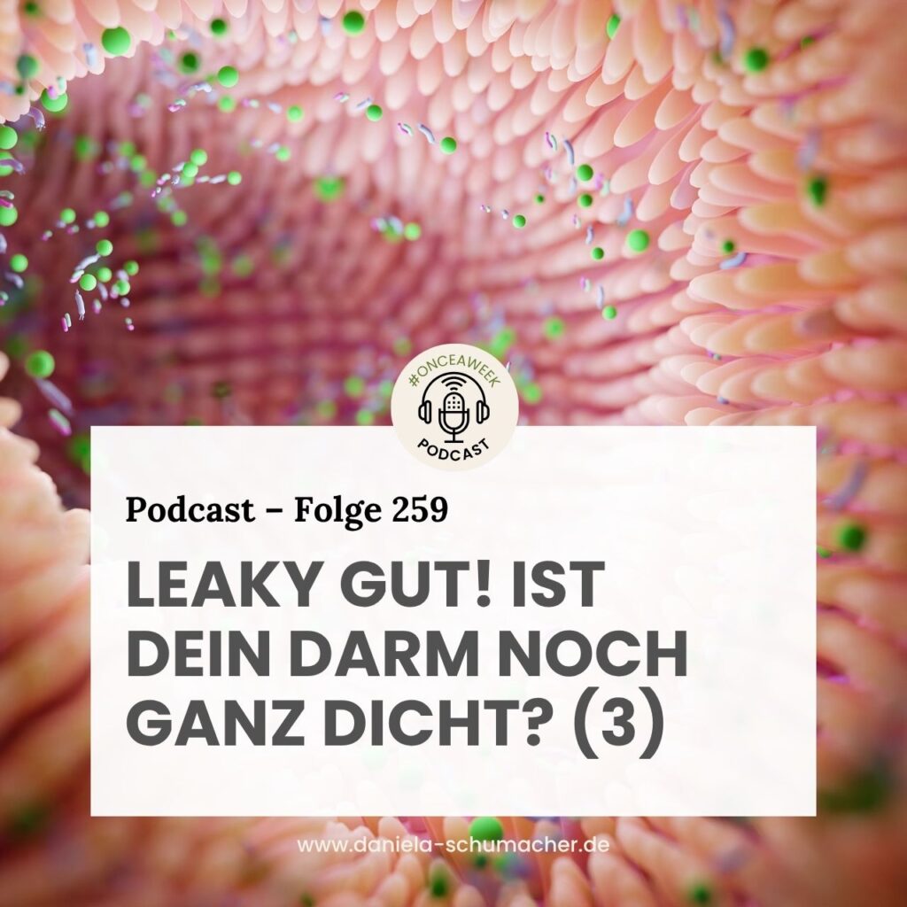 Leaky Gut 3. Teil