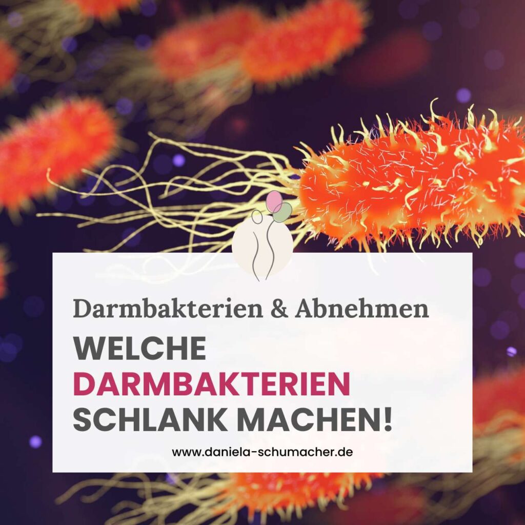 Darmbakterien verhindern Abnehmen