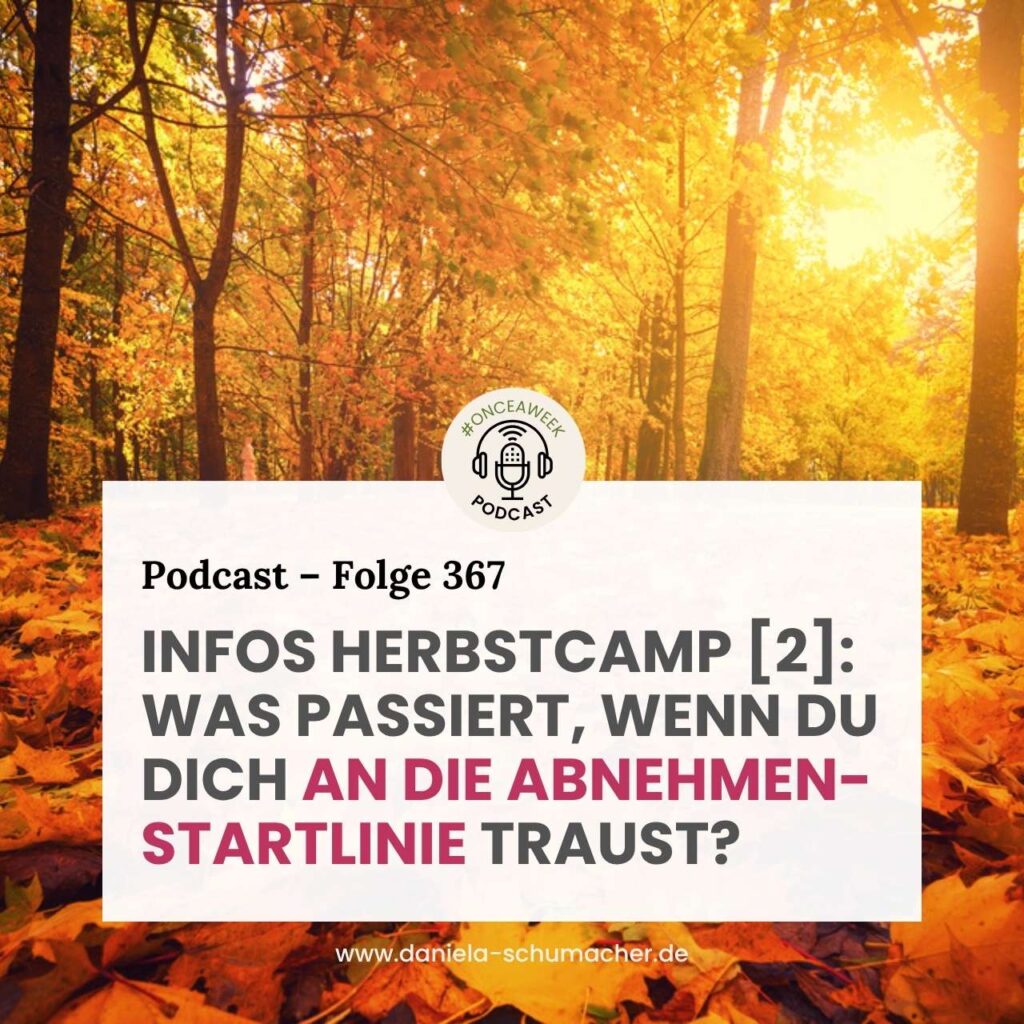 Herbstcamp Was passiert wenn du dich traust