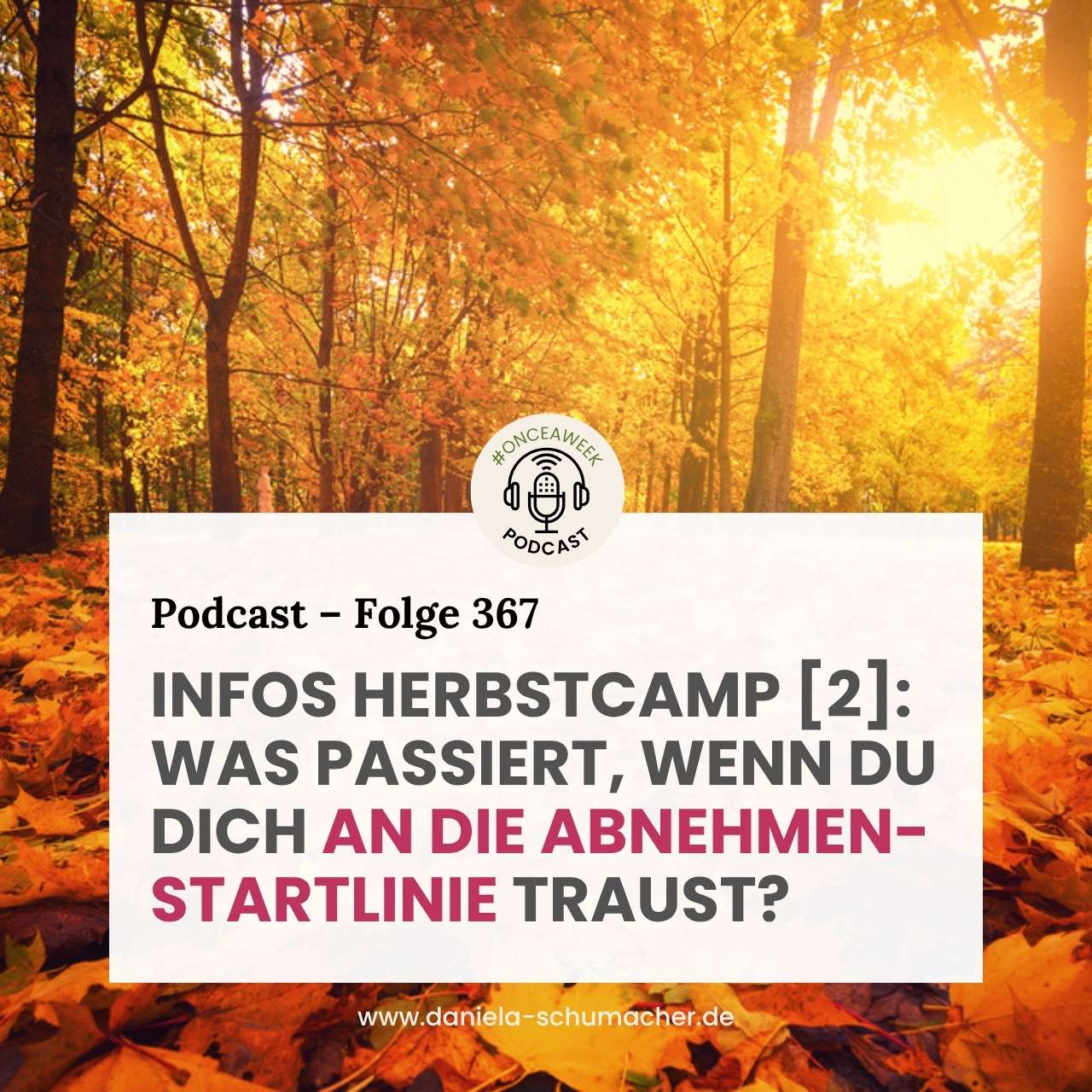Herbstcamp Was passiert wenn du dich traust