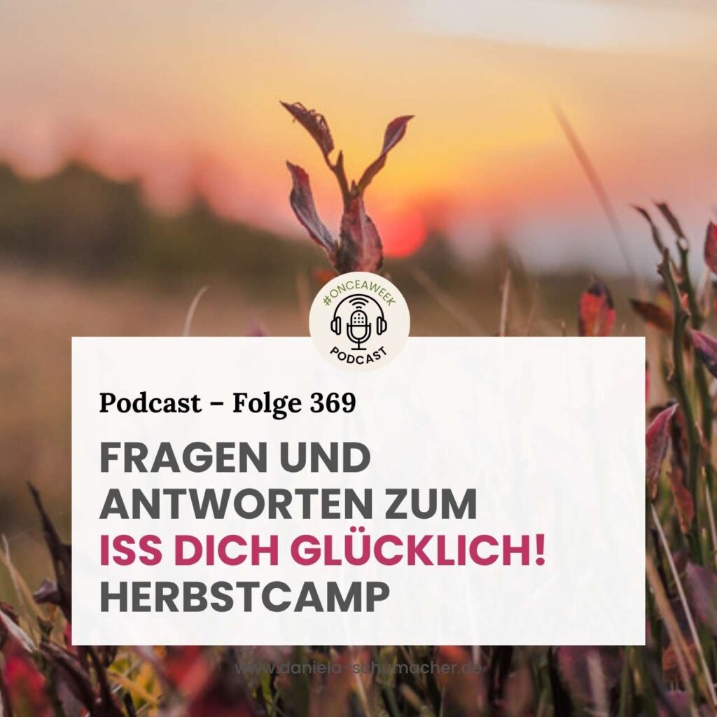 Fragen Antworten Iss dich glücklich Herbstcamp