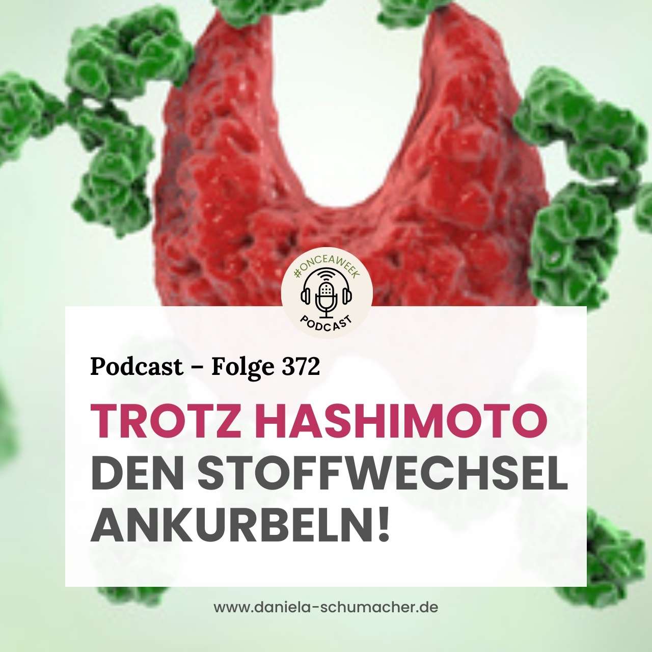 Hashimoto Abnehmen