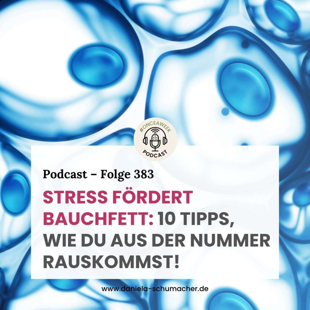 Stress fördert Bauchfett